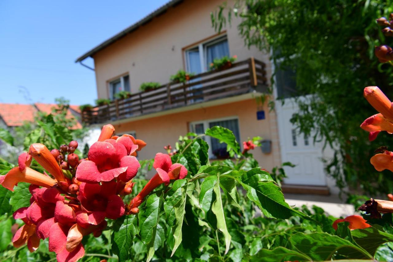 Apartman Dorijan Rakovica Exteriör bild